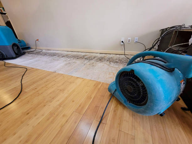 Reliable Basement Flood Cleanup contractor in Carnegie, PA by Hirex Water Damage