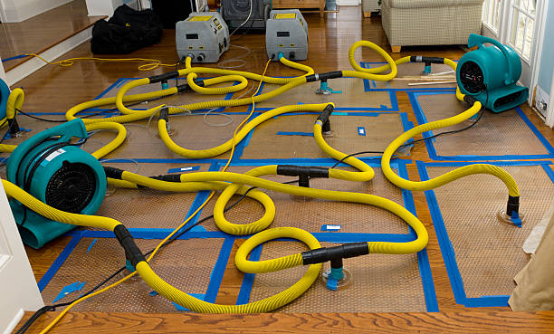 Professional Basement Flood Cleanup technician working in Carnegie, PA